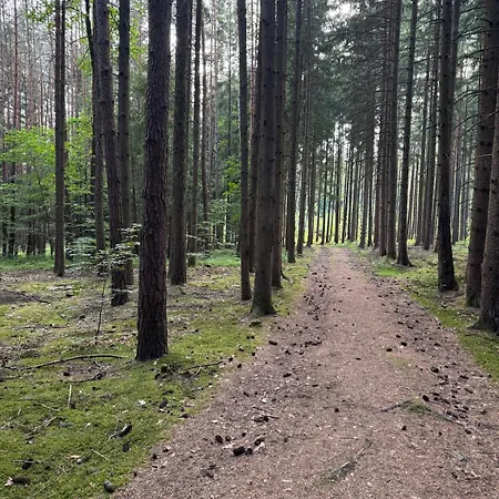 Apartmán Gemuetliche Maisonette Nahe Dinkelsbuehl *